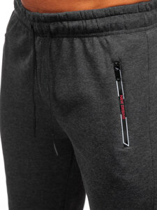 Pantalones deportivos para hombre Grafito Bolf JX6281